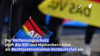AfD als Rechtsextremismus-Verdachtsfall eingestuft