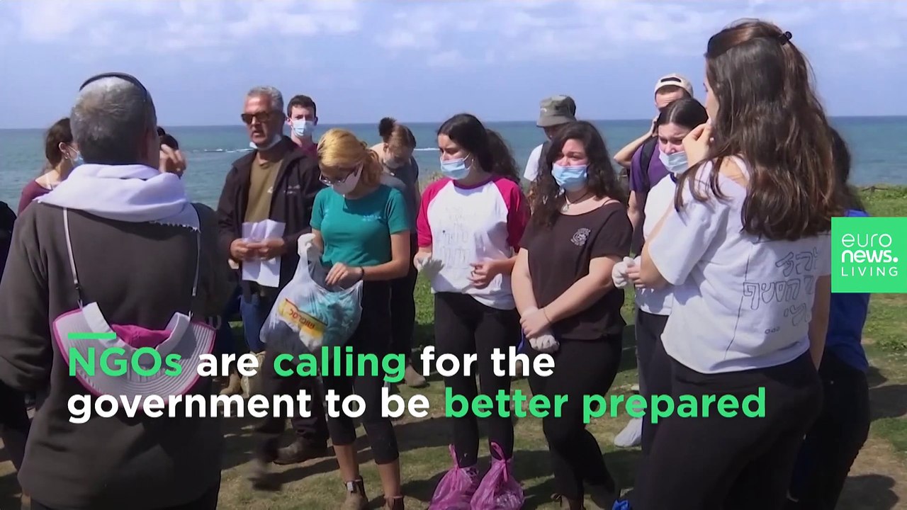 Israeli government was ‘not prepared’ for massive oil spill cleanup, say NGOs