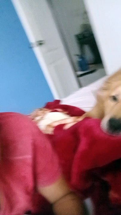 my baby boy