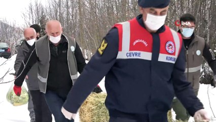 2000 rakımda yaban hayatı için doğaya yem bırakıldı