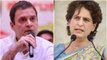 Rahul will definitely come to Bengal says Congress leader