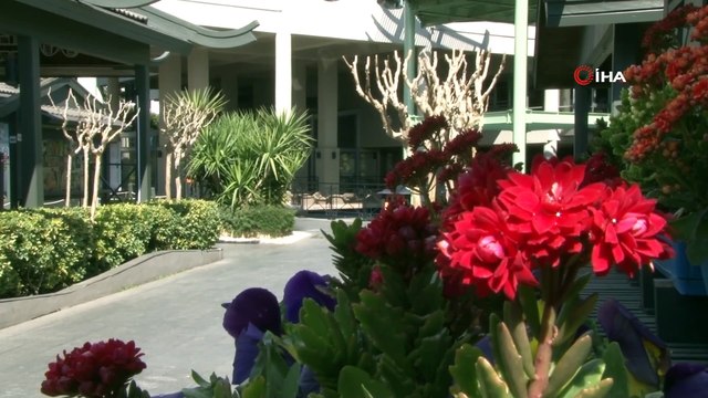 Kontrollü normalleşme turizm sektörünü hareketlendirdi