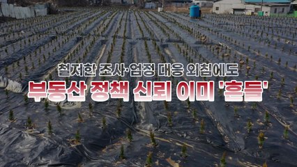 [영상] LH직원 100억 대 땅투기...국민 '부글부글' / YTN