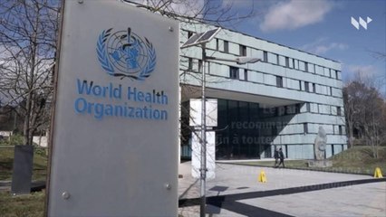 L'hydroxychloroquine ne devrait pas être utilisée pour soigner le Covid-19, selon l'OMS