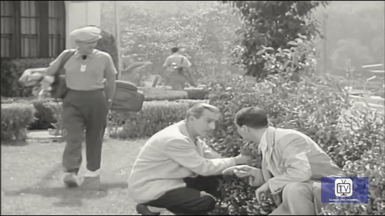 The Mickey Rooney Show | Season 1 | Episode 10 | Diamond in the Rough | Mickey Rooney | Regis Toomey