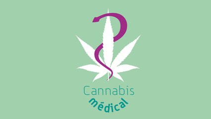 Expérimentation des médicaments à base de cannabis médical : Trailer de la formation des professionnels de santé