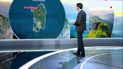 Méditerranée : à la découverte de l’île d’Asinara, entre la Corse et la Sardaigne
