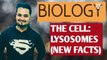 BIOLOGY THE CELL :LYSOSOMES NEW FACTS EXPLAINED.