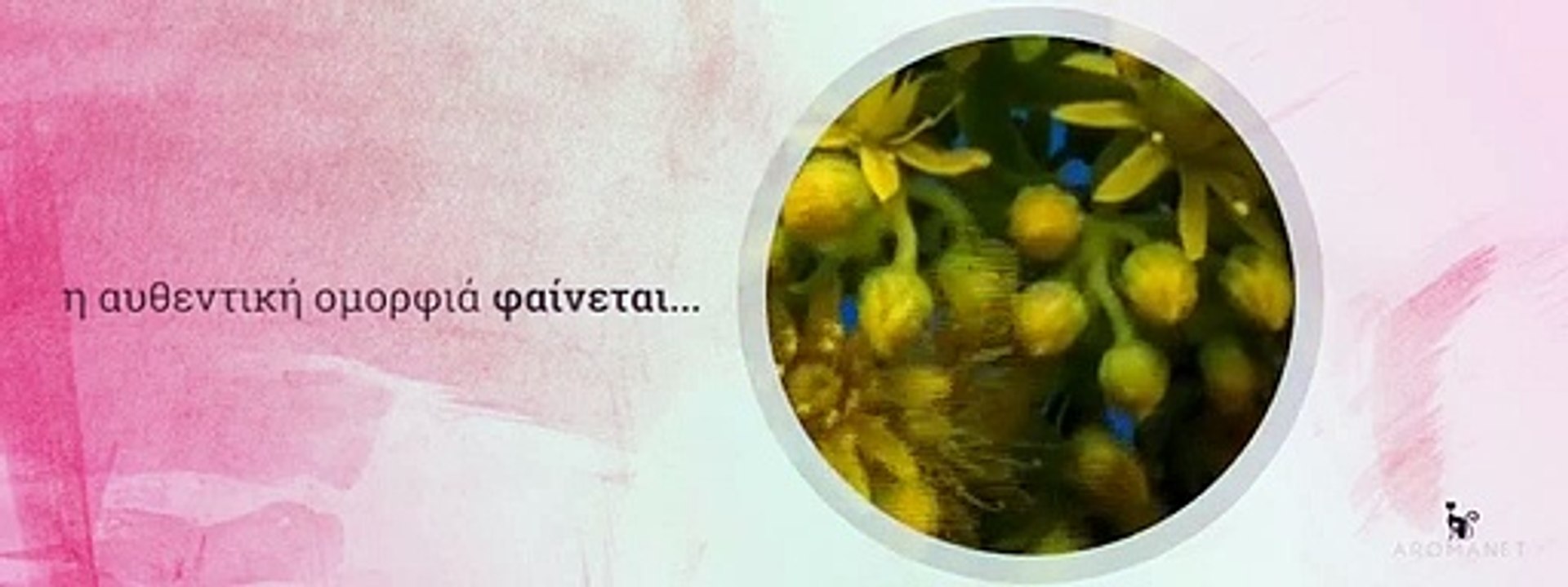 Facebook Banner