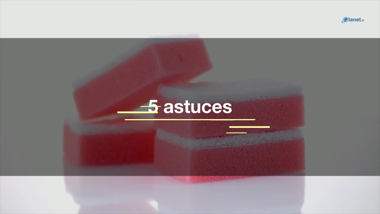 Cinq astuces pour garder vos éponges bien propres.