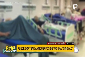 Variante brasileña podría sortear anticuerpos de vacuna “Sinovac”