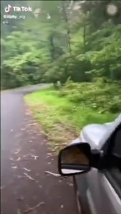 Tik tok