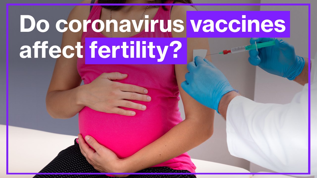 Do coronavirus vaccines affect fertility?