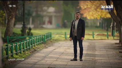 مسلسل الطائر الأبيض الحلقة 17