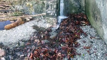 Planet X Nibiru tsunami earthquake March 2021