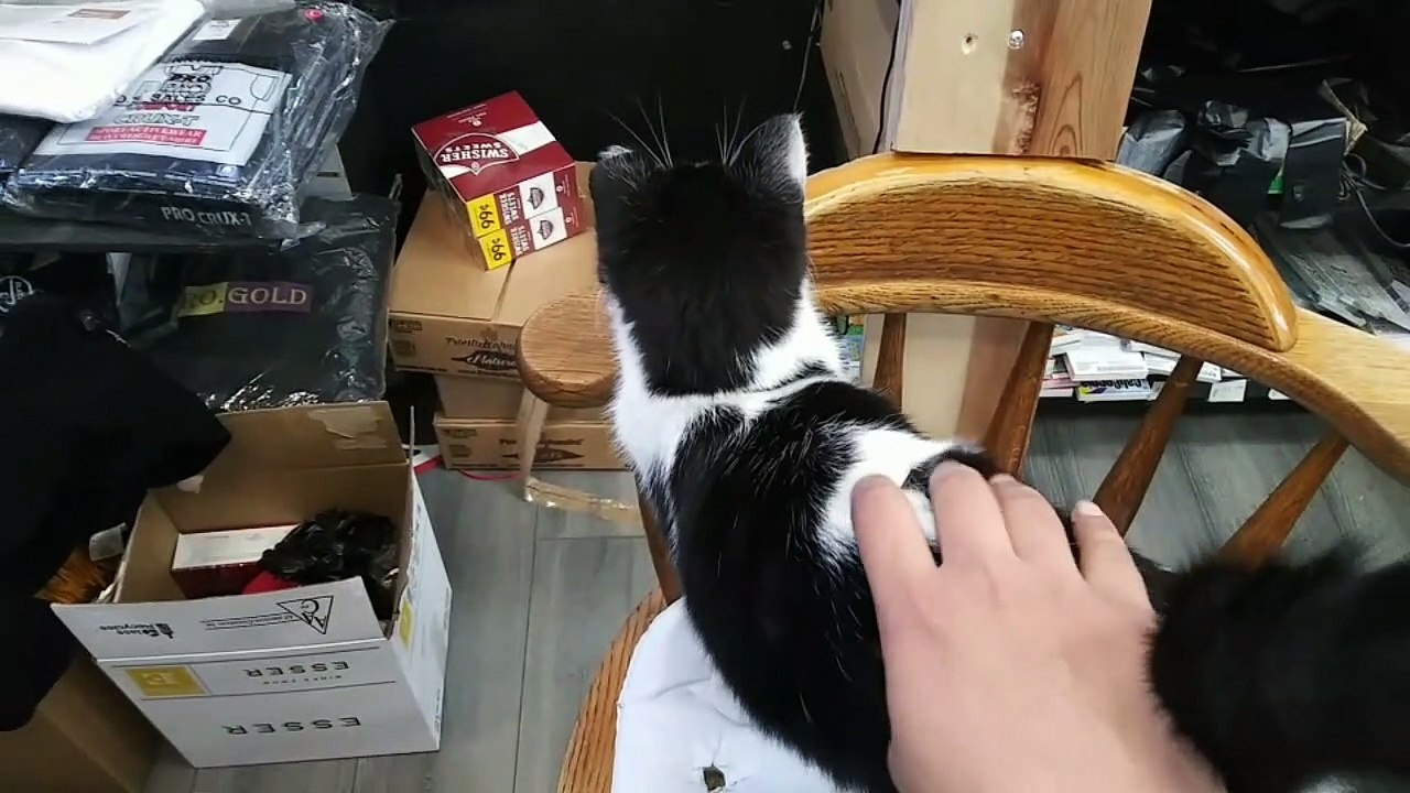 Did I Make Canela Feel Good?