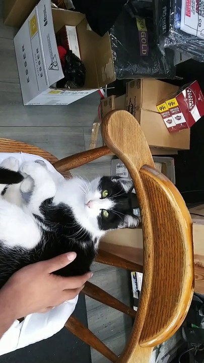 When You Finally Get The Most Adorable Bite