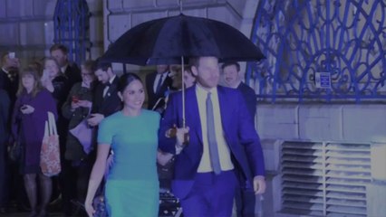 Meghan Markle is "Saddened" By the Latest "Attack on Her Character"