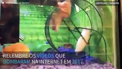 Reveja os vídeos que mais bombaram em 2017!