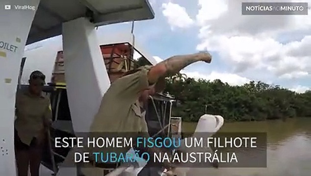 Homem beija tubarão antes de devolvê-lo ao rio