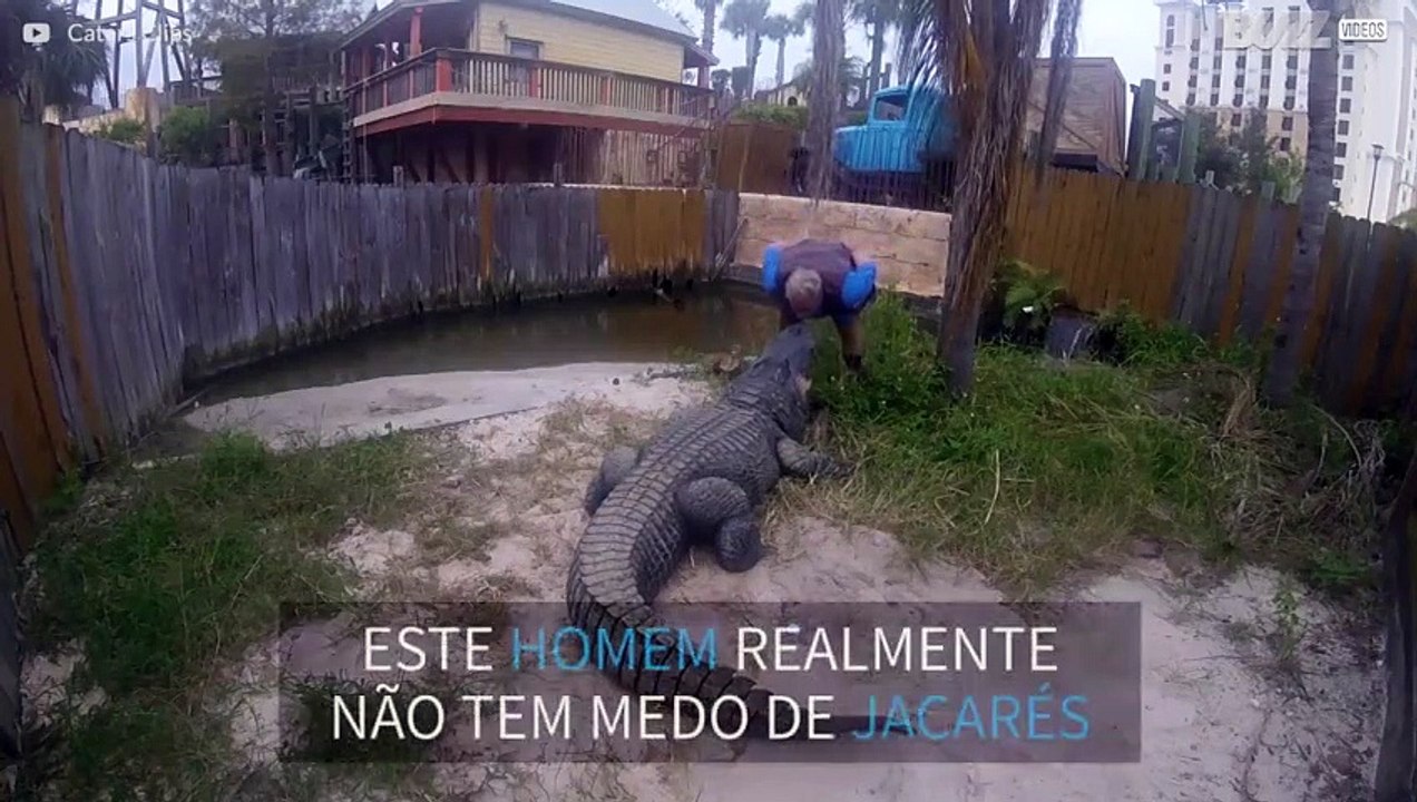 Assustador: Homem beija jacaré enorme