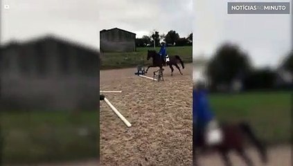 Pequeno obstáculo é demais para este cavalo!