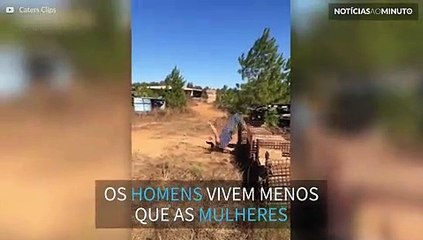 O porquê das mulheres viverem mais que os homens