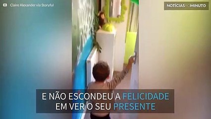 Criança fica entusiasmada ao ver a nova decoração do quarto