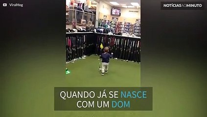 Bebê golfista acerta bola em uma tacada!
