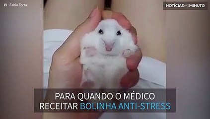 A bolinha anti-stress mais fofa que você já viu