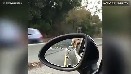 Quem nunca teve esta reação ao ficar preso no trânsito?