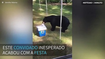 Urso invade festa de aniversário e acaba com o bolo