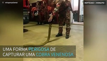 Homem captura cobra de uma forma assustadora