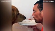 Uma refeição romântica entre um cão e seu dono