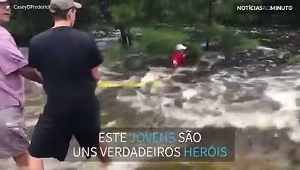 Cão é salvo nas cheias do Furacão Harvey!