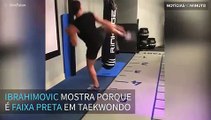 Ibrahimovic mostra porque é faixa preta em Taekwondo