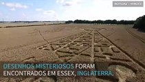 Misteriosa desenho em plantação intriga ufólogos