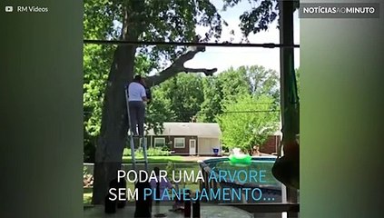 Árvore 'se vinga' de homem que cortou seu galho
