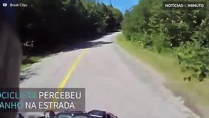 Motociclista resgata tartaruga de estrada