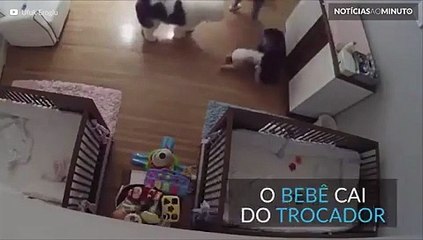 Com rapidez impressionante, menino evita queda do irmão de 11 meses