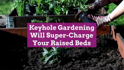 Keyhole Gardening Will Super-Charge Your Raised Beds