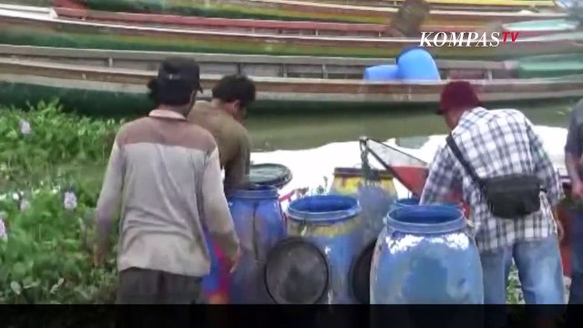 Cuaca Buruk Akibatkan RIbuan Ikan Di Keramba Jaring Apung Mati Mendadak