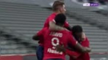 Lille stay top thanks to dramatic David double