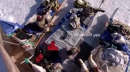 Soğuk iklimde hayatta kalmak