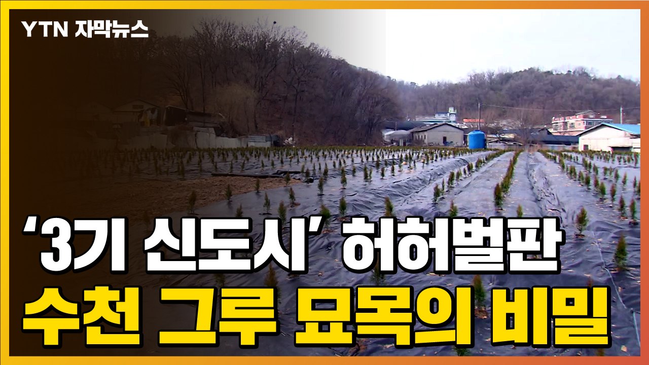 [자막뉴스] 'LH 투기 의혹' 땅 가보니...수천 그루 묘묙에 숨겨진 비밀 / YTN