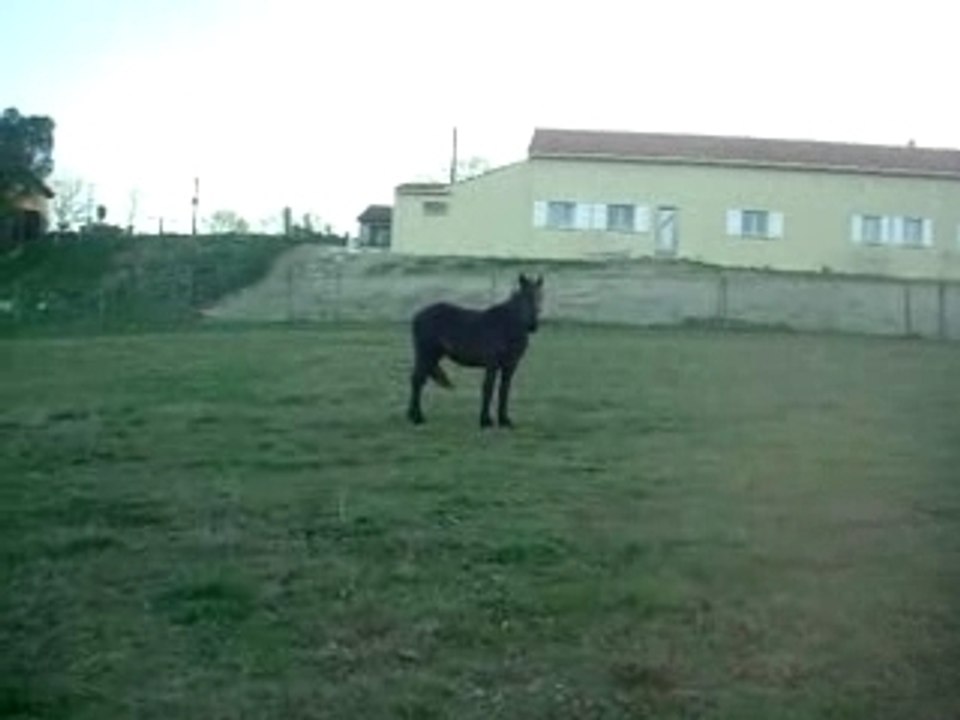 DSCN0247