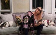 Lady Gaga se reúne de nuevo con sus perros tras secuestro