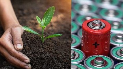 Baterai Bekas Bisa Jadi Makanan Buat Tanaman