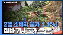 2월 소비자 물가 1.1%↑...장바구니 물가 큰 폭 상승 / YTN