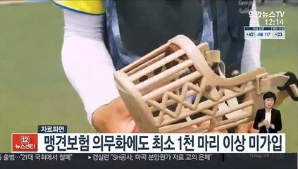 맹견보험 의무화에도 최소 1천 마리 이상 미가입